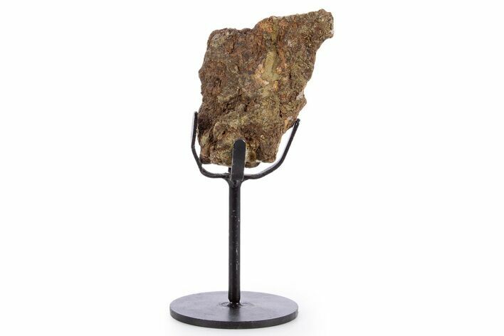Fossil Triceratops Limb Section w/ Metal Stand - South Dakota #340077